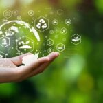 Sustainable Landscaping in Perth: Water-Wise Design Tips